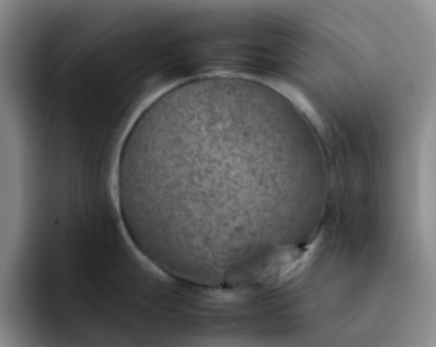 X0000092051247200709262003