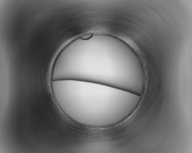 X0000092051248200709262003