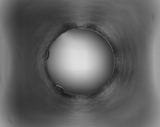 X0000092051249200709262003