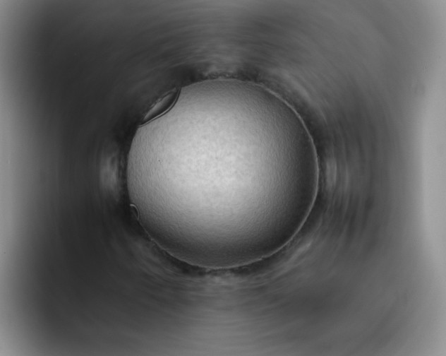 X0000092051250200709262003