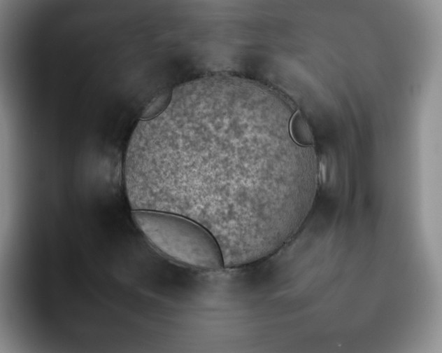 X0000092051251200709262003