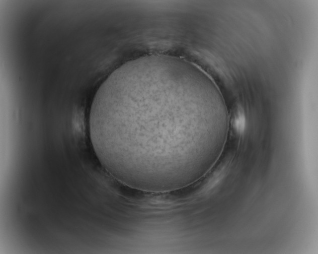 X0000092051252200709262003