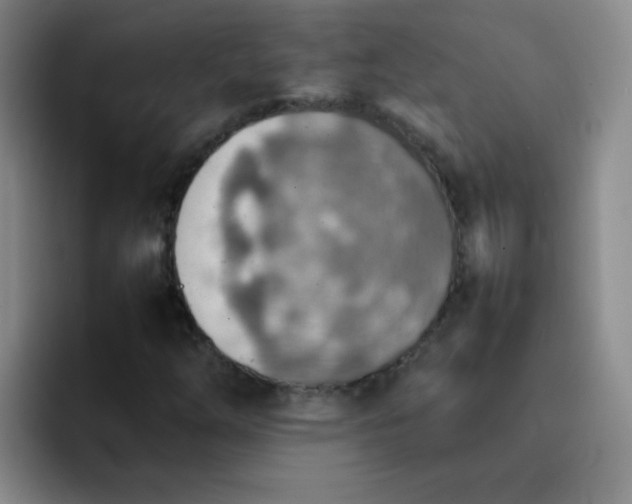 X0000092051254200709262003