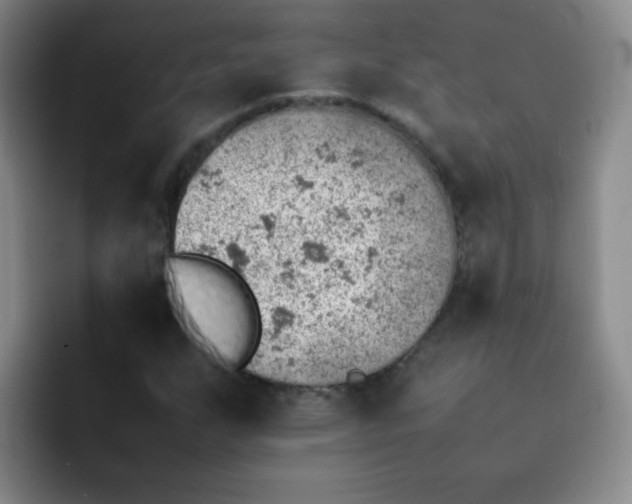 X0000092051255200709262003