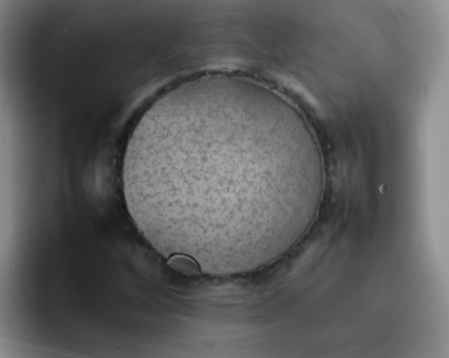 X0000092051256200709262003