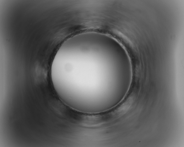 X0000092051257200709262003