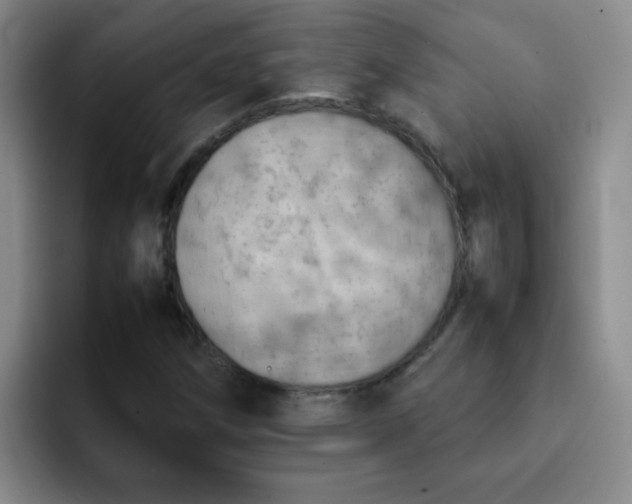 X0000092051258200709262003