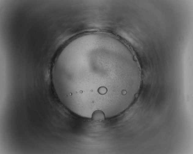 X0000092051259200709262003