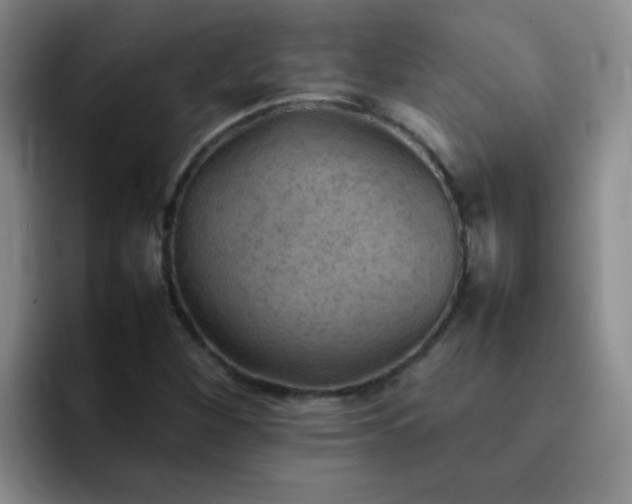 X0000092051260200709262003