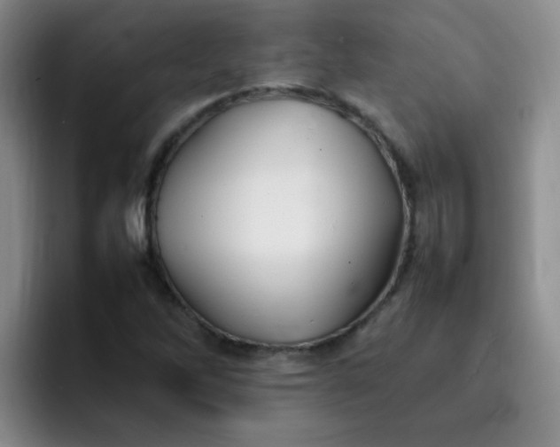 X0000092051262200709262003