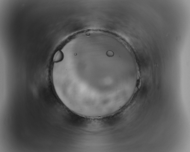 X0000092051263200709262003