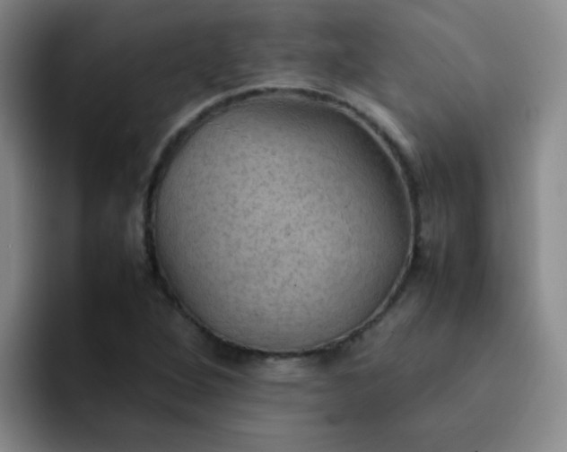 X0000092051264200709262003