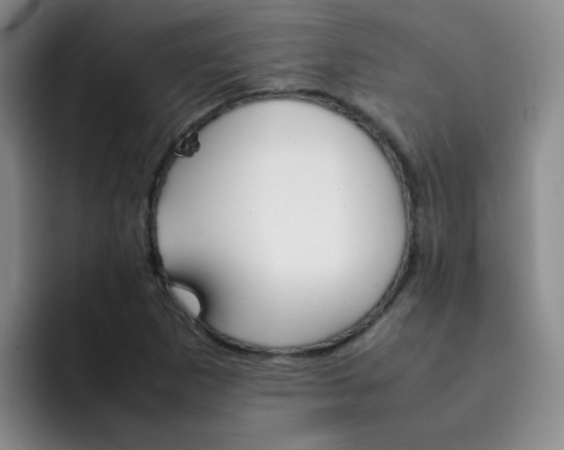 X0000092051265200709262003