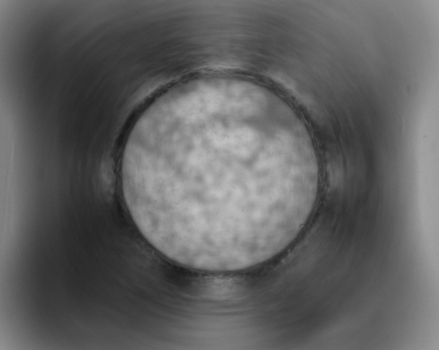 X0000092051266200709262003