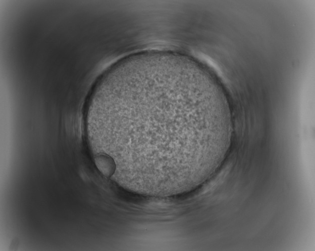 X0000092051267200709262003