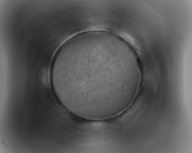 X0000092051268200709262003