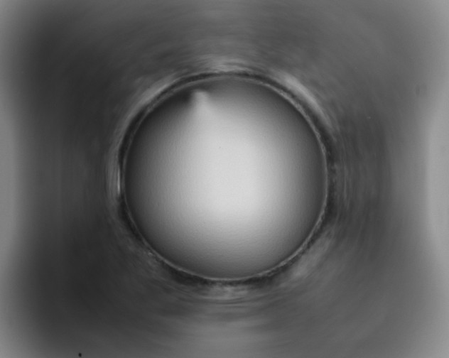 X0000092051269200709262003