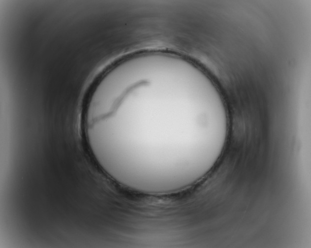 X0000092051270200709262003