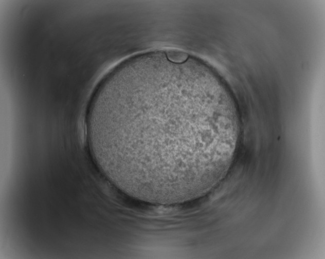 X0000092051271200709262003