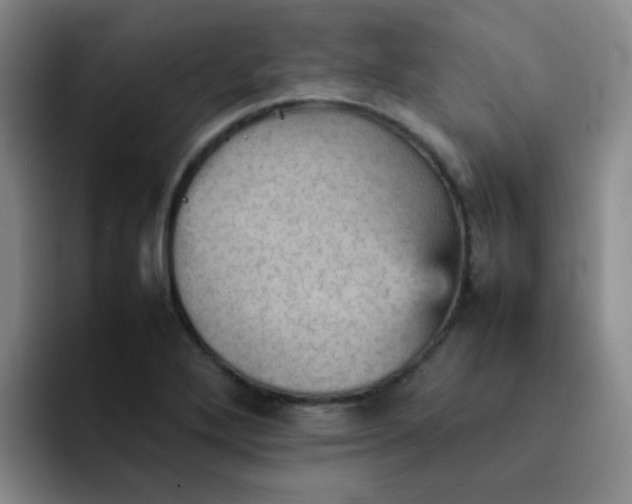 X0000092051272200709262003