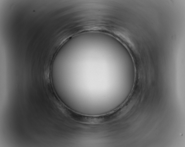 X0000092051273200709262003