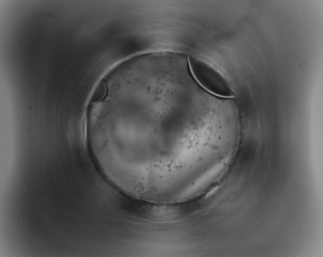 X0000092051275200709262003