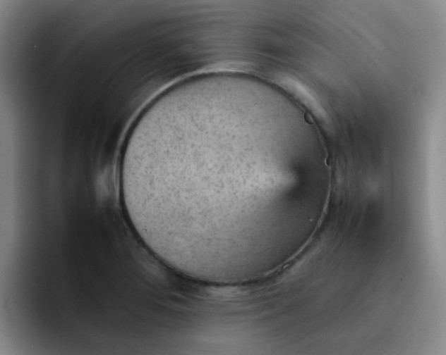 X0000092051276200709262003