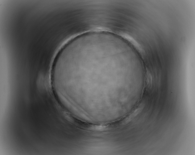 X0000092051278200709262003