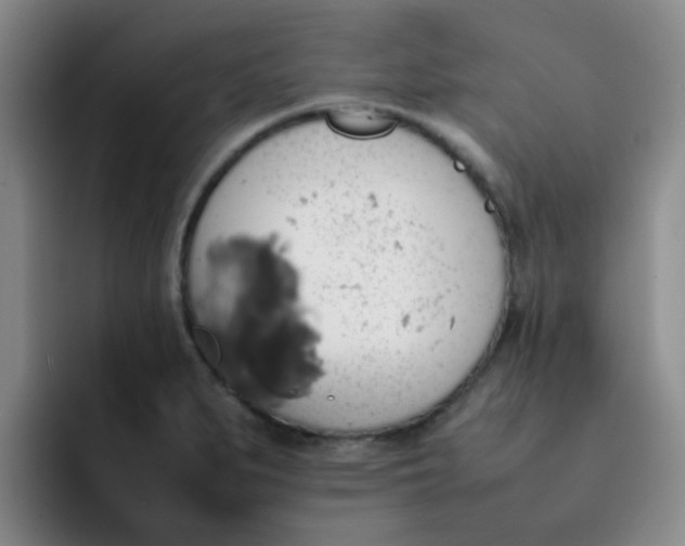 X0000092051279200709262003