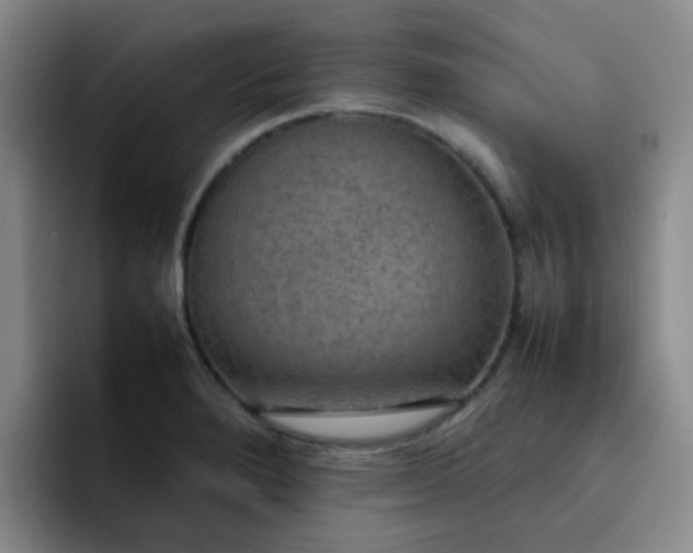 X0000092051280200709262003