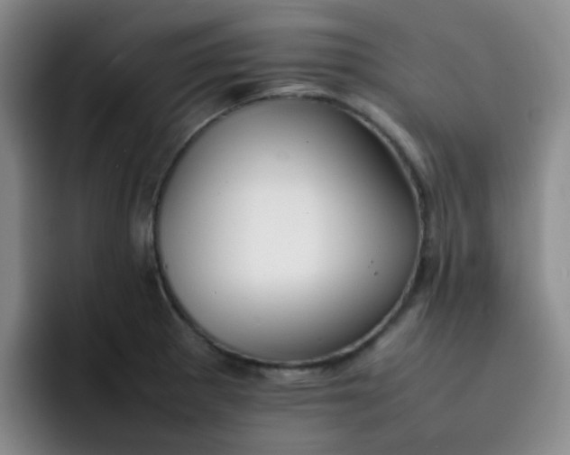 X0000092051281200709262003