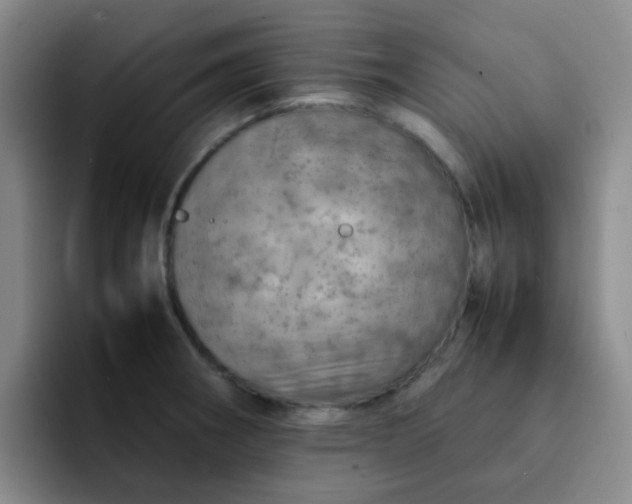 X0000092051282200709262003