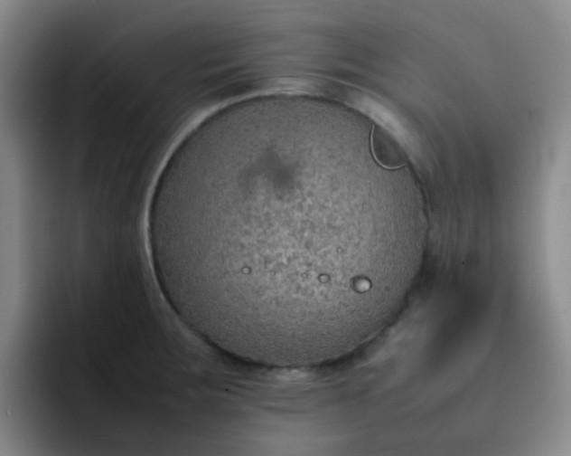 X0000092051283200709262003