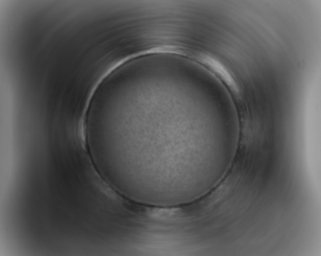 X0000092051284200709262003