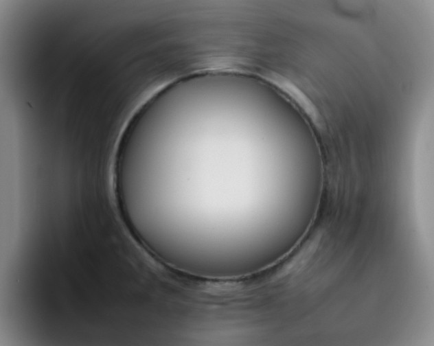 X0000092051285200709262002