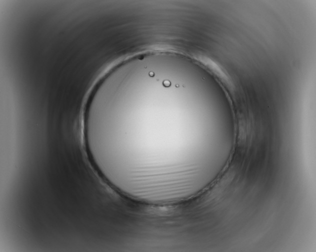 X0000092051286200709262002