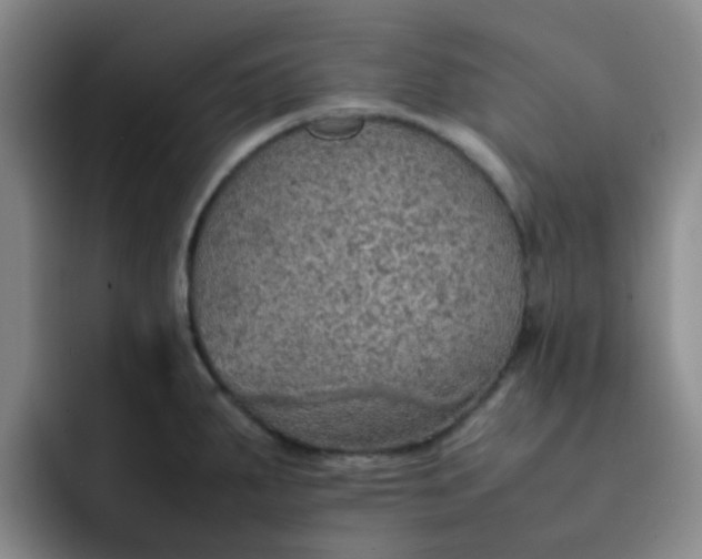 X0000092051287200709262002