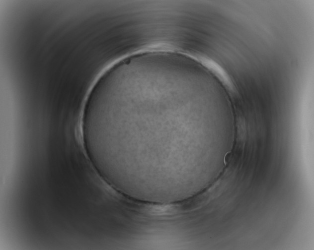 X0000092051288200709262002