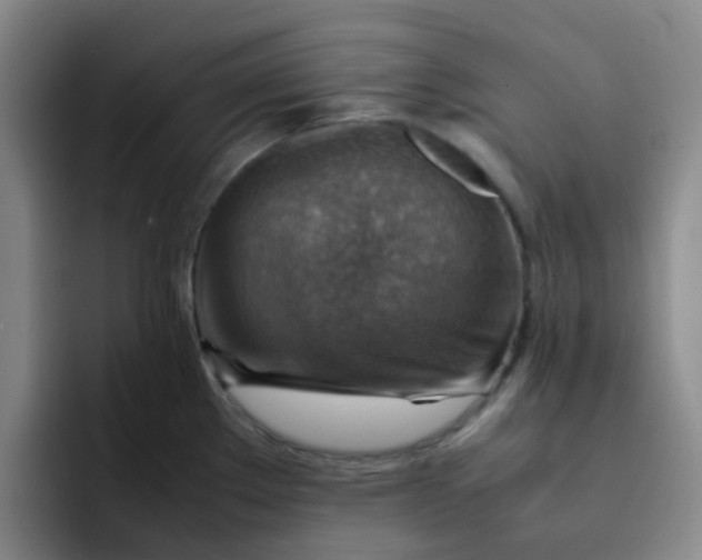 X0000092051289200709262002