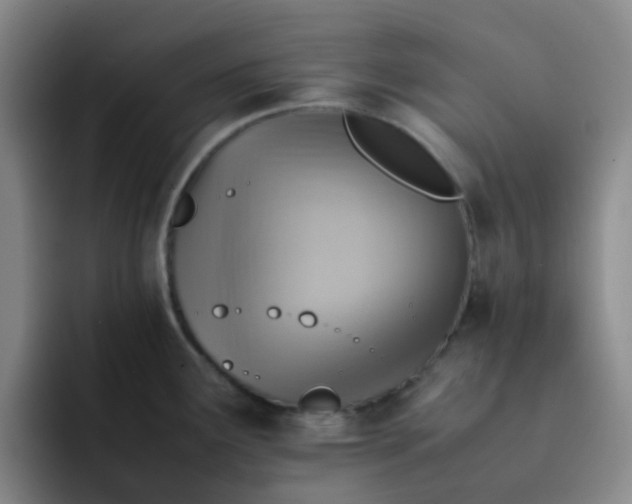 X0000092051291200709262002