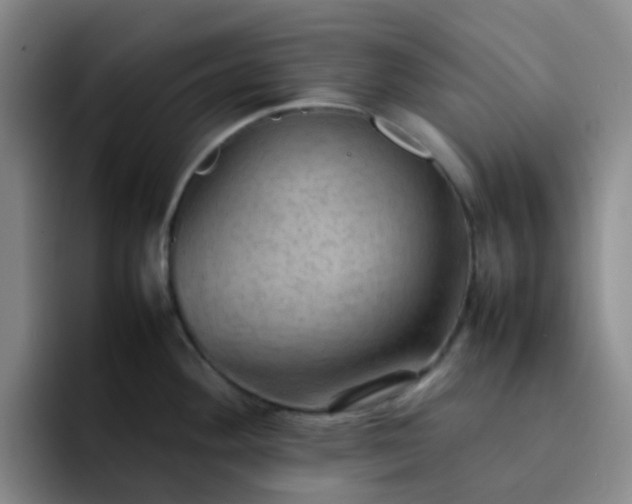 X0000092051292200709262002