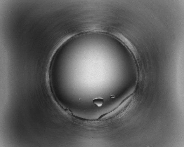 X0000092051293200709262002