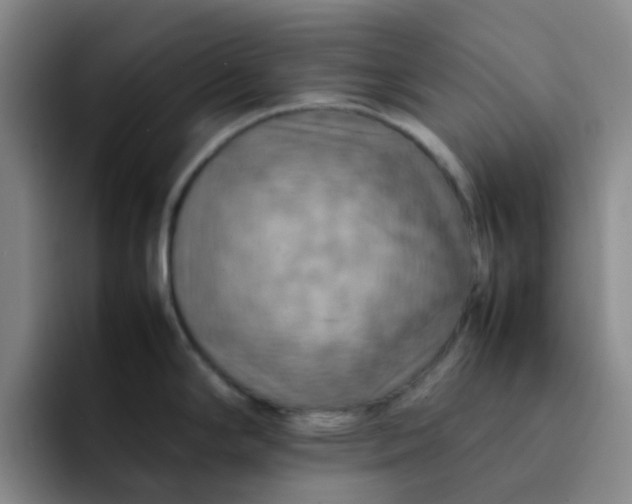 X0000092051294200709262002