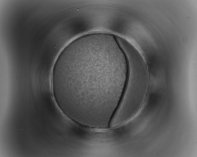 X0000092051295200709262002