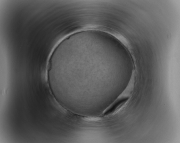 X0000092051296200709262002