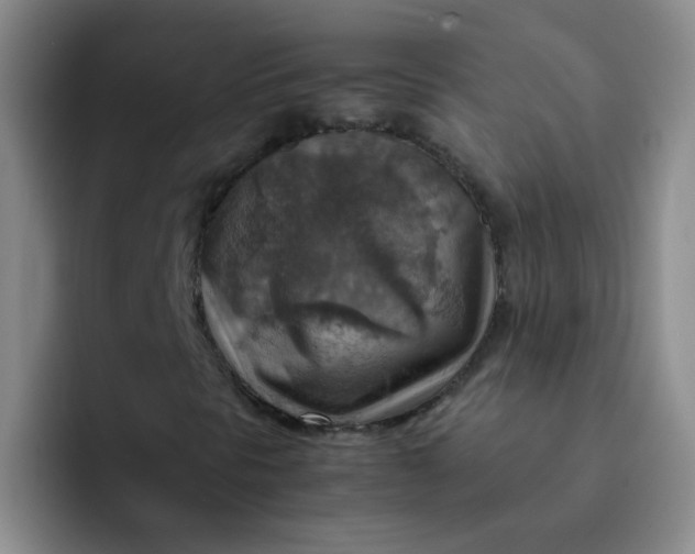 X0000092051297200709262002