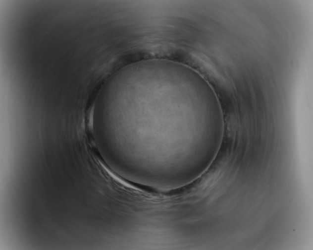 X0000092051298200709262002