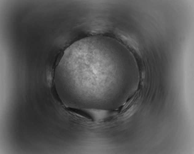 X0000092051300200709262002