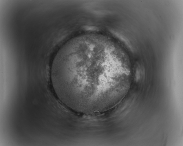 X0000092051301200709262002