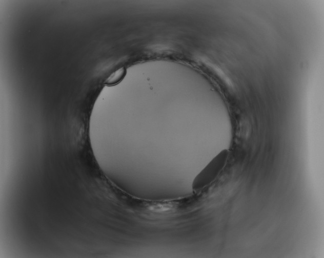 X0000092051303200709262002